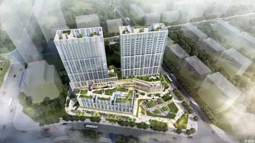 深圳佳兆业最新爆料,揭秘球队幕后故事与未来展望  第2张