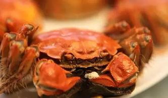 会飞的螃蟹爆料视频大全,揭秘神秘生物的空中舞步