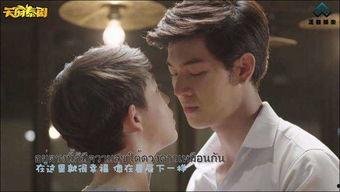 逐月之月在线观看优酷,优酷独家上线，月月精彩不容错过  第2张