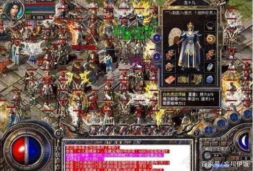 热血传奇宝宝最新爆料,神秘宝宝技能大揭秘！  第1张